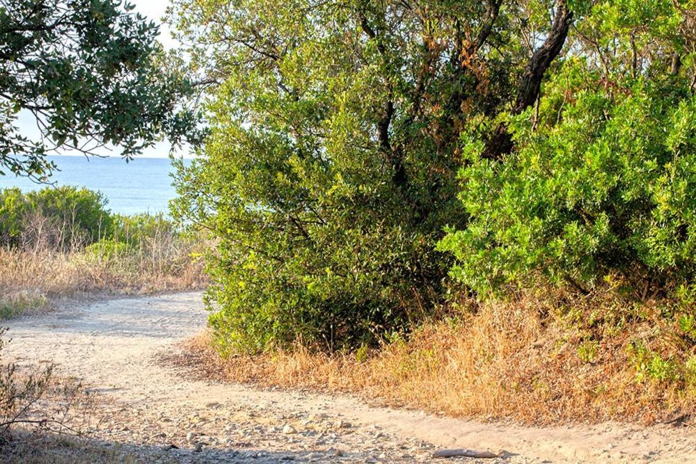BAGHEERA Village Naturiste Linguizzetta Exteriör bild
